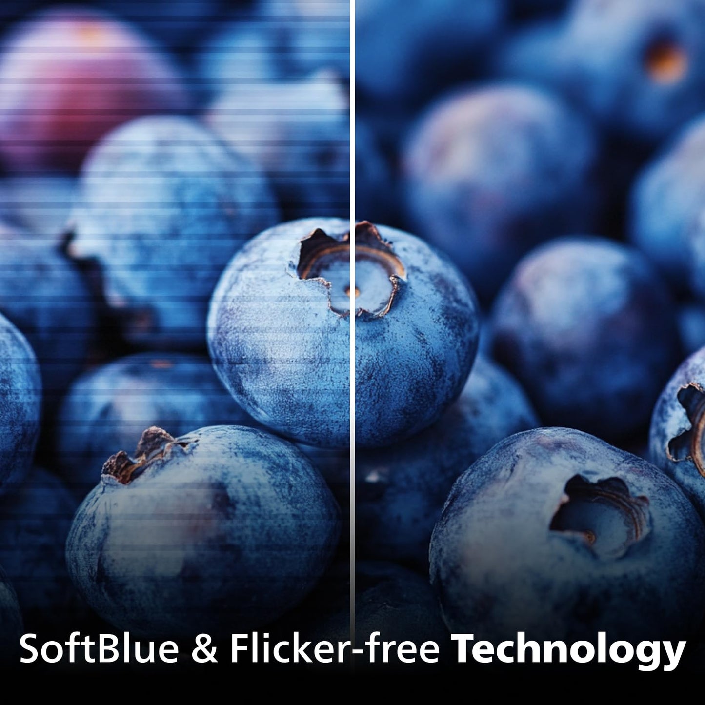 Philips New 24 inch Frameless Full HD (1920 x 1080) 100Hz Monitor, VESA, HDMI x1, VGA Port x1, Eye Care, 4 Year Advance Replacement Warranty, 241V8LB, Black