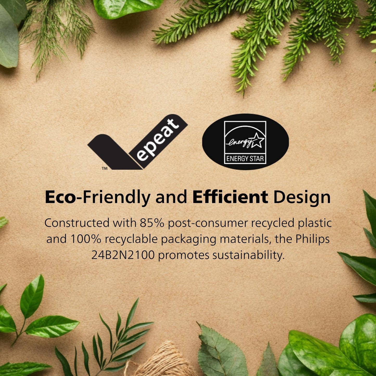 Philips New 24 inch Frameless Full HD (1920 x 1080) 100Hz Monitor, VESA, HDMI x1, VGA Port x1, Eye Care, 4 Year Advance Replacement Warranty, 241V8LB, Black